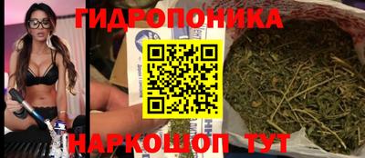 СК Абинск