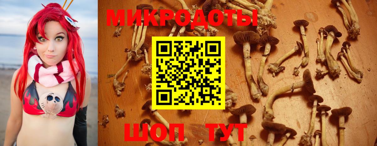 Псилоцибиновые грибы Psilocybine cubensis  Вход с VPN  купить   Алексеевка 